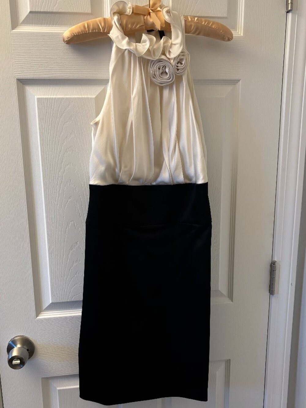 Cocktail Dress (BCBGMAXAZRIA)